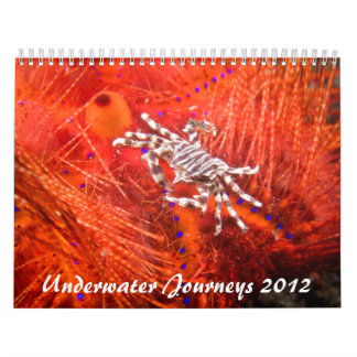2012 Unterwasserreise-Meeresflora und Kalender