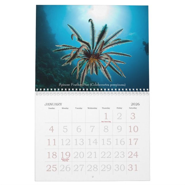 2012 Unterwasserreise-Meeresflora und Kalender (Jan 2026)