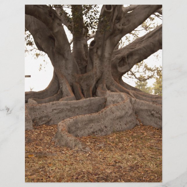 20130615_cal13_0249.jpg (Vorderseite)