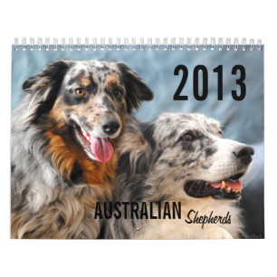 2013 Australier-Schäfer-Hundekalender Kalender