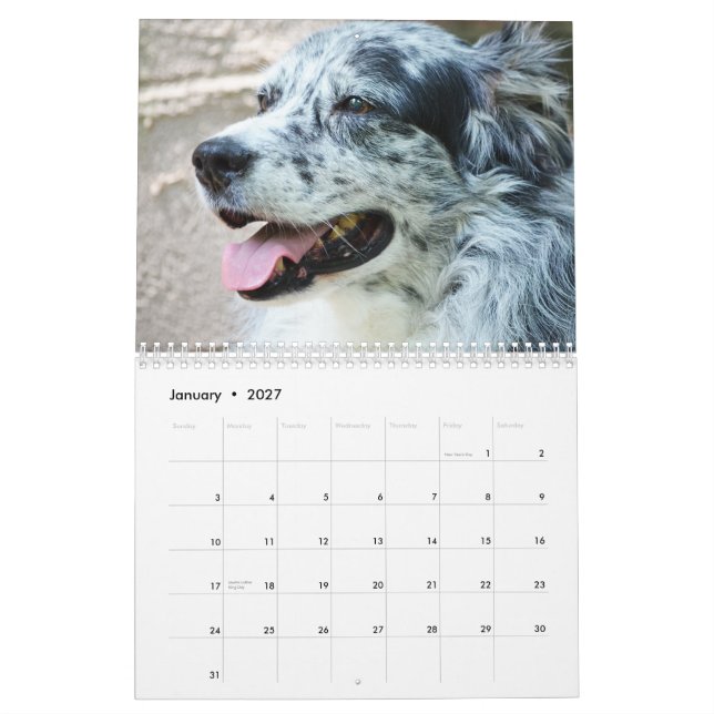 2013 Australier-Schäfer-Hundekalender Kalender (Jan 2027)