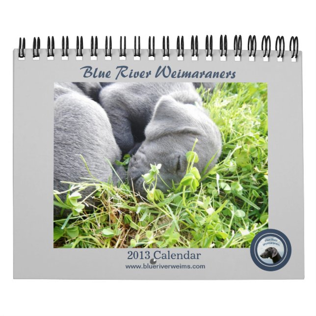 2013 Blau-Fluss Weimaraners Kalender (Titelbild)