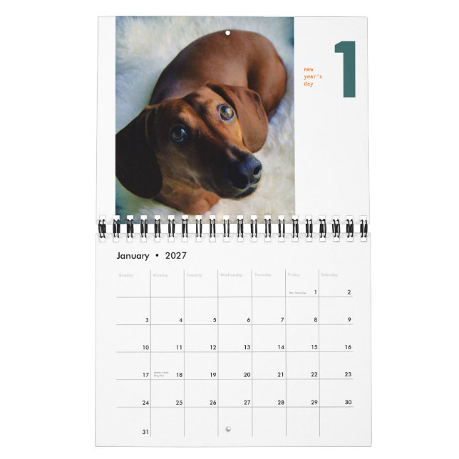2013 Dackel-Kalender - kleines chumley Kalender (Jan 2027)