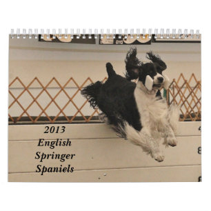 2013 englischer Springer-Spaniels Kalender