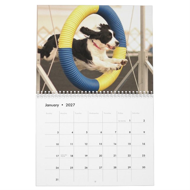 2013 englischer Springer-Spaniels Kalender (Jan 2027)