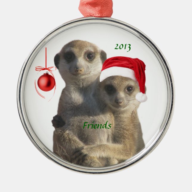 2013 Freund-Verzierung Silbernes Ornament (Vorne)