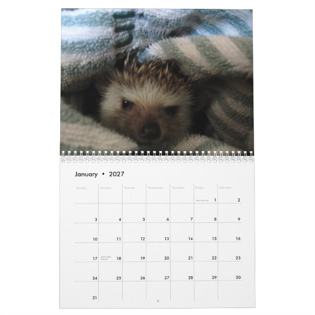 2013 Kalender 2 (Jan 2027)