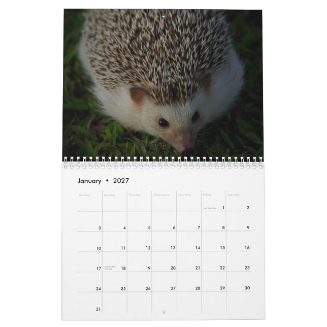 2013 Kalender 3 (Jan 2027)