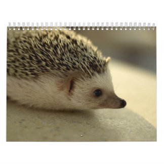 2013 Kalender 4