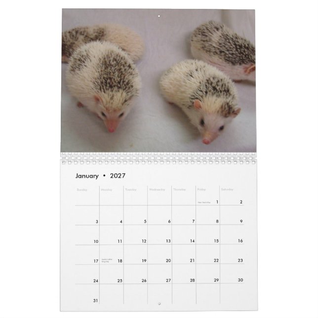 2013 Kalender 4 (Jan 2027)