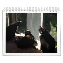 2013 Kalender - fünf Geldstrafe Felines