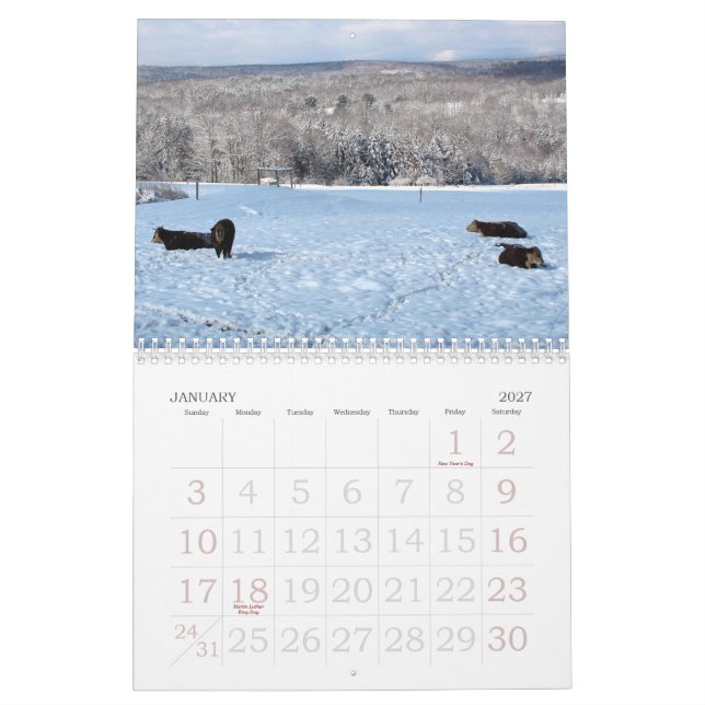 2013 Kuh-Kalender Kalender (Jan 2027)