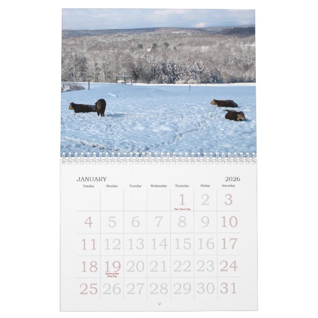 2013 Kuh-Kalender Kalender (Jan 2026)