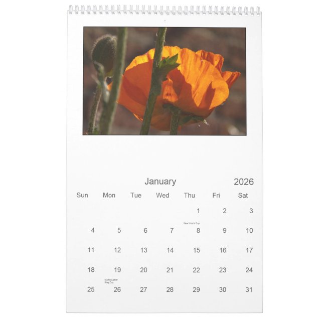 2013 - Mohnblumenkalender Kalender (Jan 2026)