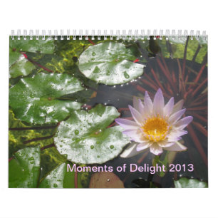 2013 Momente des Freudenkalenders Kalender