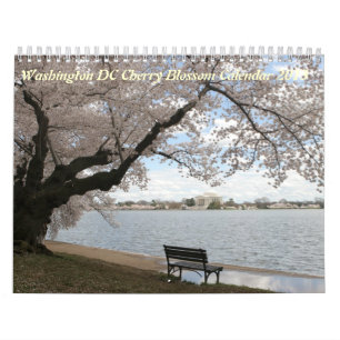 2013 (nicht 2025) DC Cherry Blossom Kalender