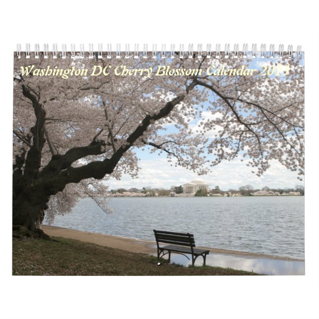 2013 (nicht 2025) DC Cherry Blossom Kalender (Titelbild)
