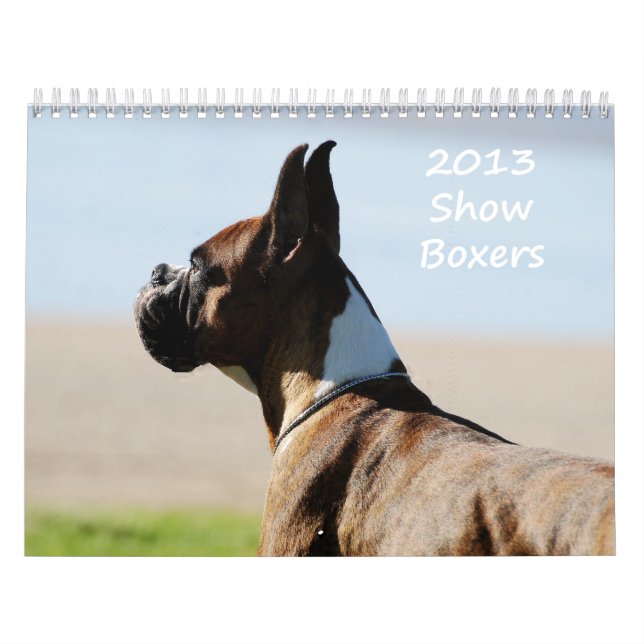 2013 Show-Boxer-Kalender Kalender (Titelbild)