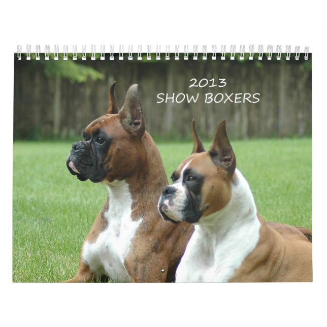 2013 Show-Boxer-Kalender Kalender (Titelbild)