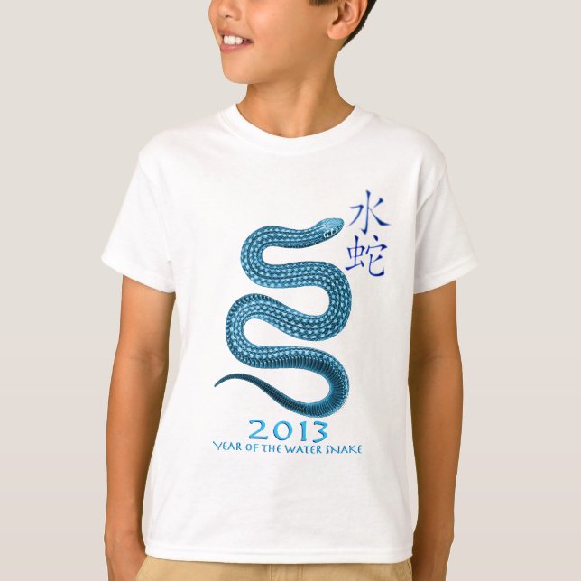 2013 T-Shirt (Vorderseite)