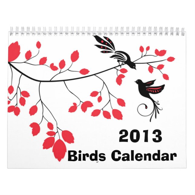 2013 Vögel ~ Wandkalender (Titelbild)