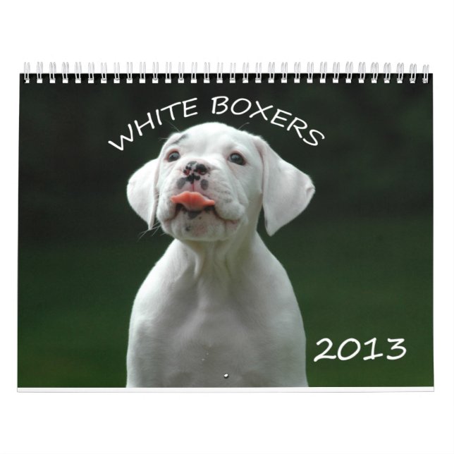 2013 Weiß-Boxer-Kalender Kalender (Titelbild)