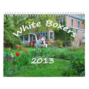 2013 Weiß-Boxer-Kalender Kalender