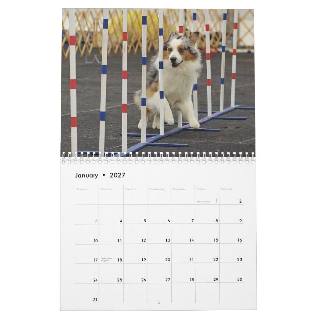 2014 Australier-Schäfer-Agility-Kalender Kalender (Jan 2027)