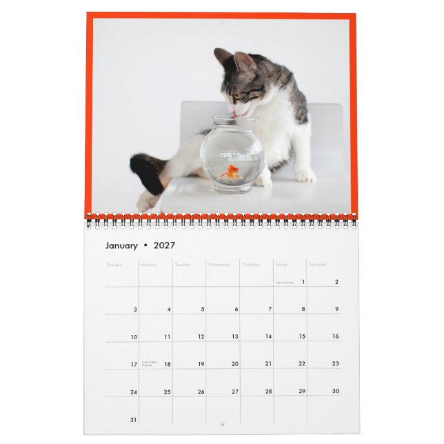 2014 Corky der Wiegen-Katzen-Kalender Kalender (Jan 2027)