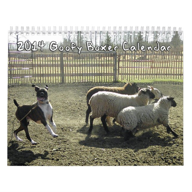2014 doof Boxer-Kalender Kalender (Titelbild)