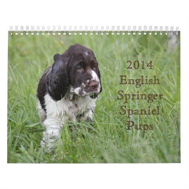 2014 englischer Springerspaniel-Welpen Kalender (Titelbild)