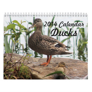 2014 Kalender-Enten Kalender