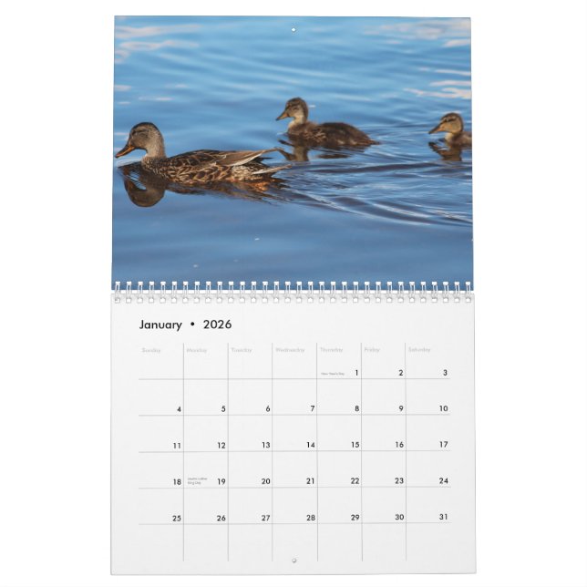 2014 Kalender-Enten Kalender (Jan 2026)