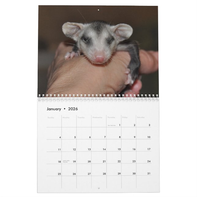 2014 Kalender - Opossum-Babys (Jan 2026)