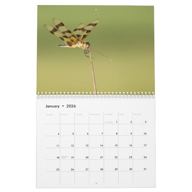 2014 Libellen-und Damselflies-Kalender Kalender (Jan 2026)