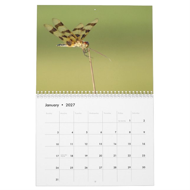 2014 Libellen-und Damselflies-Kalender Kalender (Jan 2027)