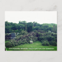 2014 Platteville, Tornadoes Memorabilia Postcard