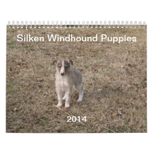 2014 seidene Windhound Welpen 1-2 Kalender