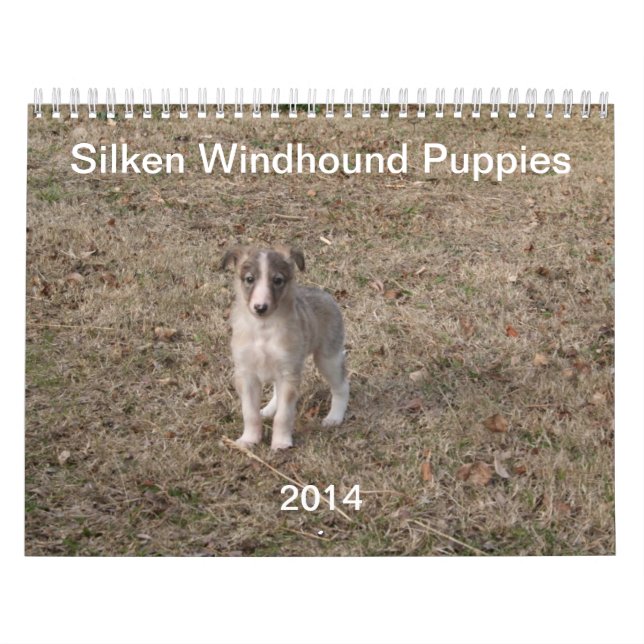 2014 seidene Windhound Welpen 1-2 Kalender (Titelbild)