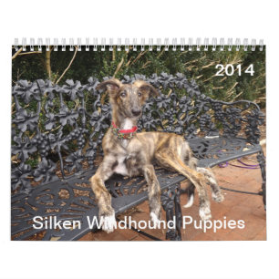 2014 seidene Windhound Welpen 2-4 Kalender