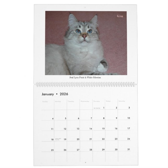2014 Sibirier-Katzen-u. Kätzchen-Kalender Kalender (Jan 2026)