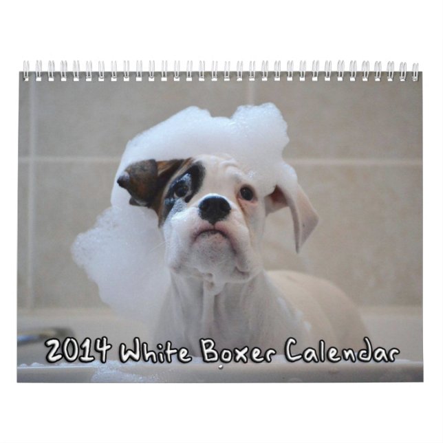 2014 Weiß-Boxer-Kalender Kalender (Titelbild)