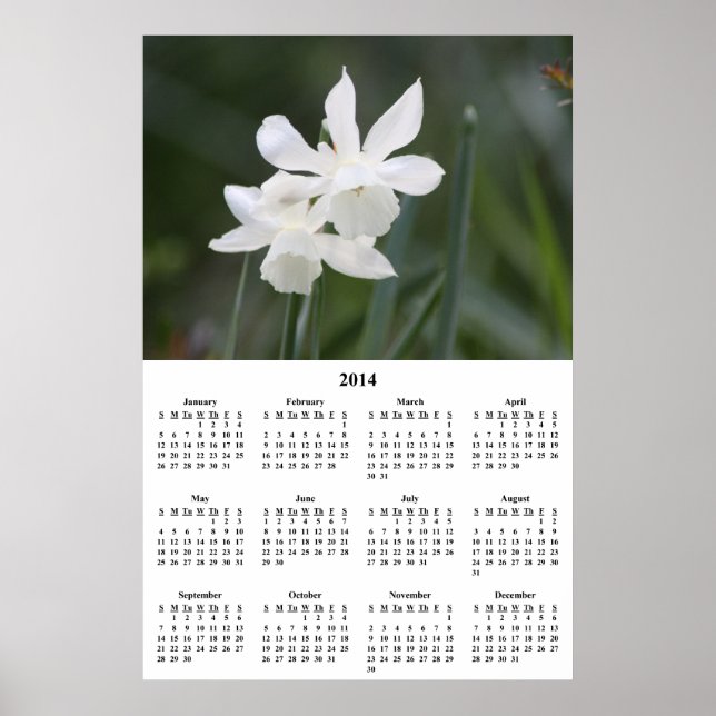 2014 - Weißer Daffodil - Mauerkalender Poster (Vorne)