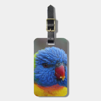 _2015_0203 GEPÄCKANHÄNGER