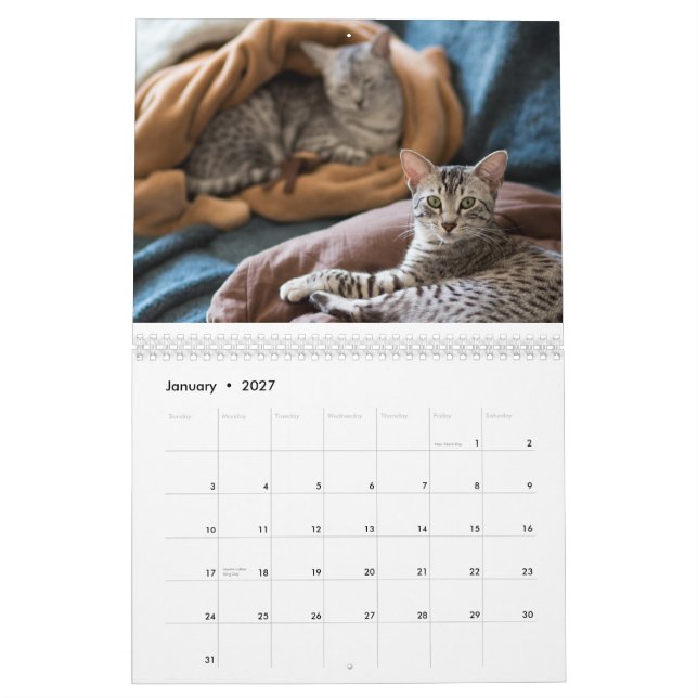 2015 Ägypter Mau Kalender: Katzen des Pharoahs Kalender (Jan 2027)