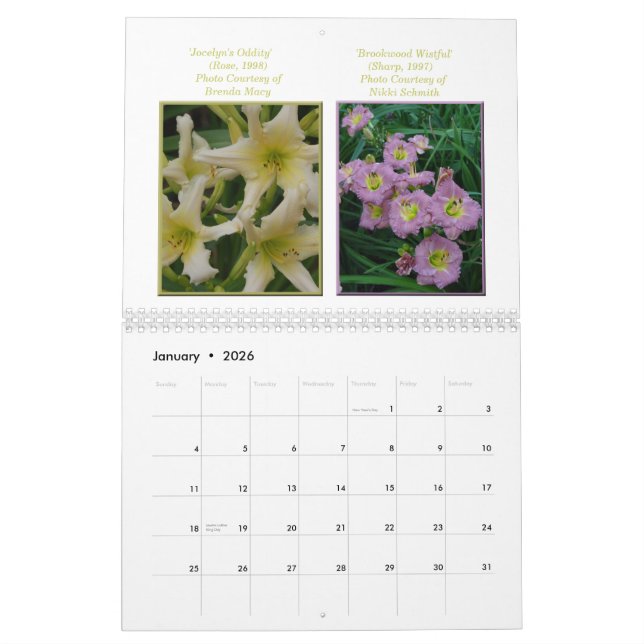 2015 AHS Taglilie-Kalender Kalender (Jan 2026)