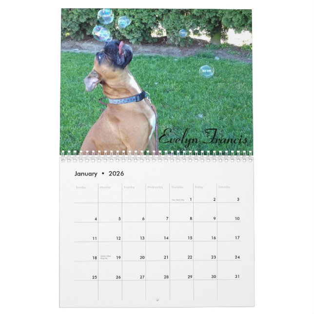 2015 doof Boxer-Kalender Kalender (Jan 2026)