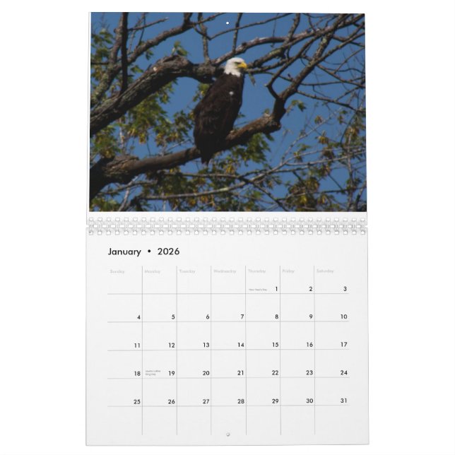 2015 draußen Wisconsin-Kalender Kalender (Jan 2026)