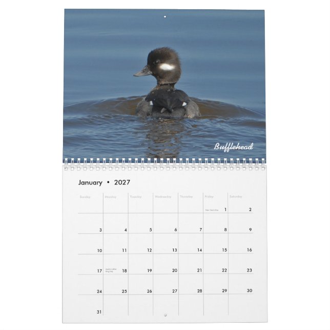 2015 Enten-Kalender Kalender (Jan 2027)