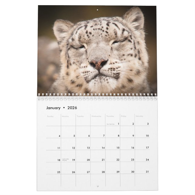 2015 große Katzen-Kalender durch Kalender (Jan 2026)